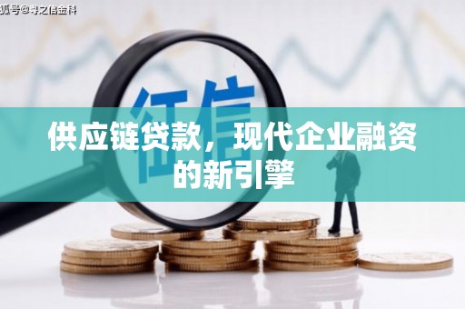 蒙阴供应链贷款，现代企业融资的新引擎