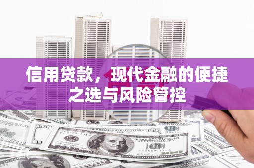 五营信用贷款，现代金融的便捷之选与风险管控
