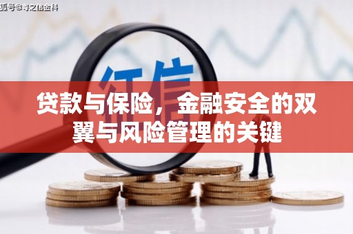 花莲贷款与保险，金融安全的双翼与风险管理的关键