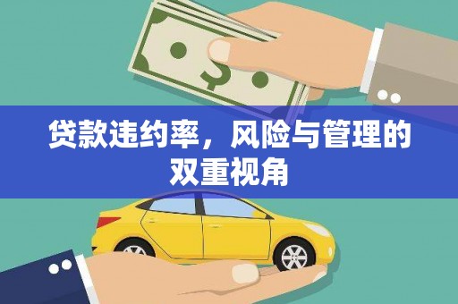 崇明贷款违约率，风险与管理的双重视角