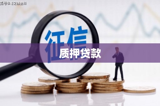 永济质押贷款