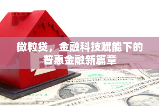 华阴微粒贷，金融科技赋能下的普惠金融新篇章