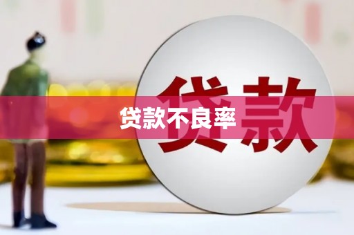 兴平贷款不良率