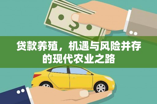 叶县贷款养殖，机遇与风险并存的现代农业之路