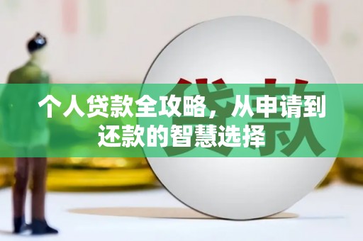 新泰个人贷款全攻略，从申请到还款的智慧选择