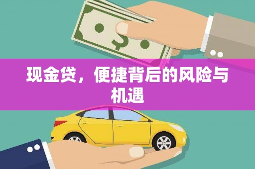 浔阳现金贷，便捷背后的风险与机遇