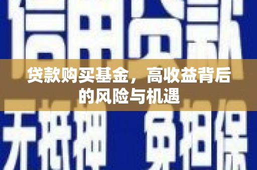 洛宁贷款购买基金，高收益背后的风险与机遇