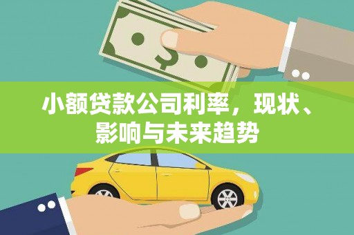 东宝小额贷款公司利率，现状、影响与未来趋势