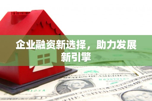 瑞芳企业融资新选择，助力发展新引擎