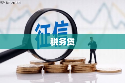 保税区税务贷