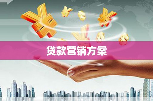 迪庆贷款营销方案