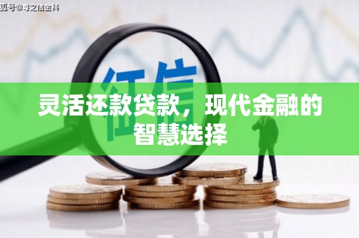 海拉尔灵活还款贷款，现代金融的智慧选择