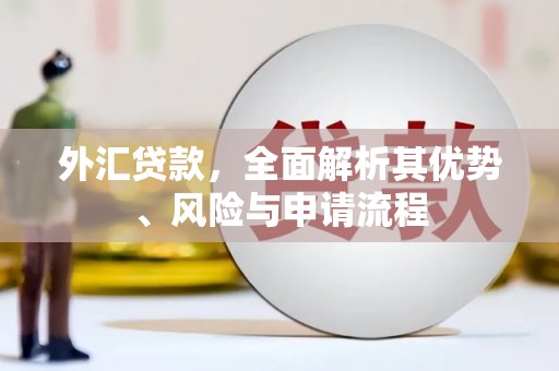 马山外汇贷款，全面解析其优势、风险与申请流程