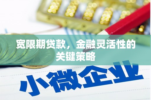 威海宽限期贷款，金融灵活性的关键策略