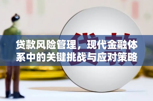 梧州贷款风险管理，现代金融体系中的关键挑战与应对策略