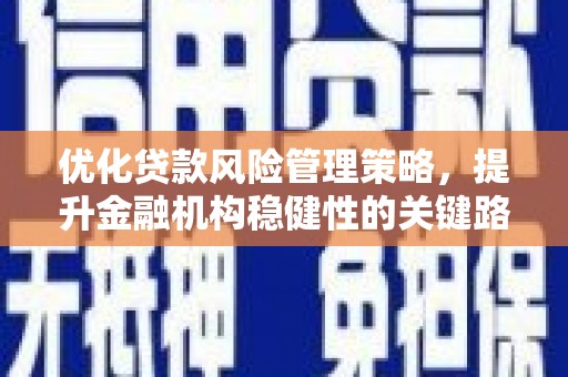 兴县优化贷款风险管理策略，提升金融机构稳健性的关键路径