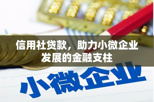 定安信用社贷款，助力小微企业发展的金融支柱