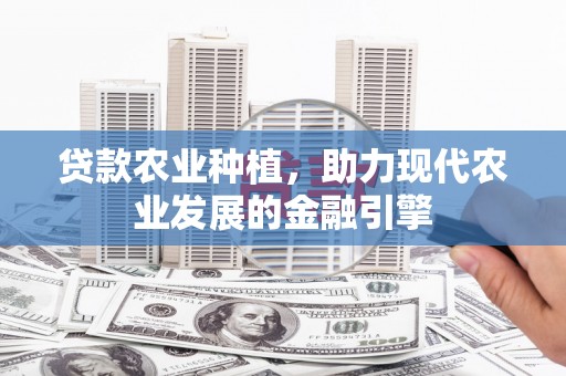 长葛贷款农业种植，助力现代农业发展的金融引擎