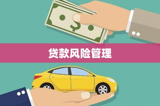 广水贷款风险管理