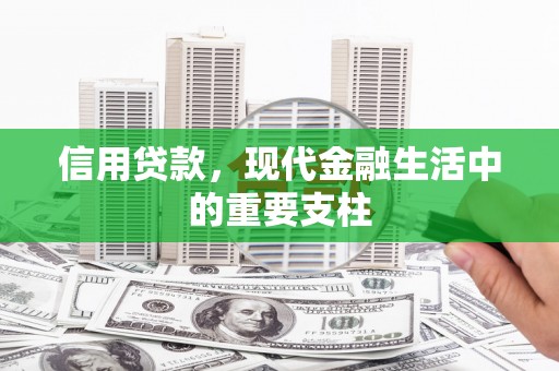 九台信用贷款，现代金融生活中的重要支柱