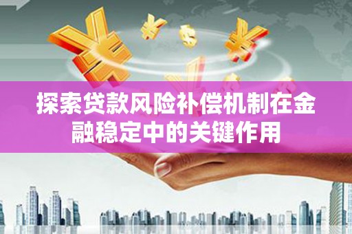 谢通门探索贷款风险补偿机制在金融稳定中的关键作用