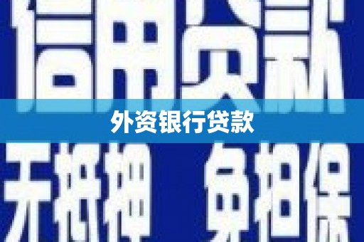 陆良外资银行贷款