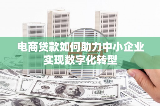 萨嘎电商贷款如何助力中小企业实现数字化转型