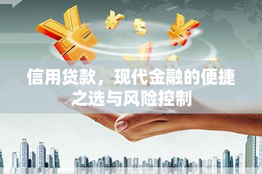 平舆信用贷款，现代金融的便捷之选与风险控制