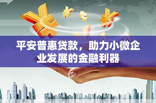 岱山平安普惠贷款，助力小微企业发展的金融利器