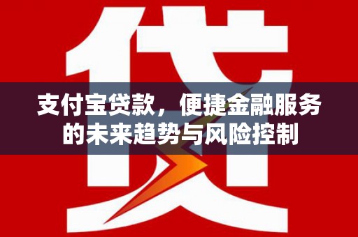 丰滨支付宝贷款，便捷金融服务的未来趋势与风险控制
