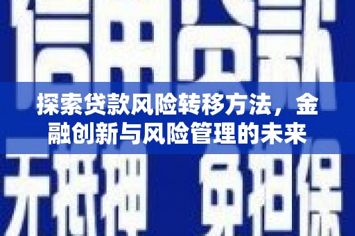 泸水探索贷款风险转移方法，金融创新与风险管理的未来