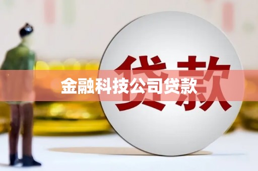 崖州金融科技公司贷款