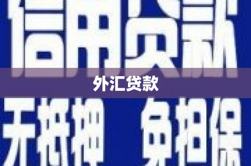 瑞穗外汇贷款