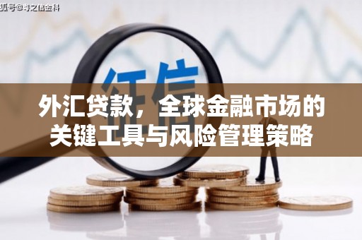 鱼峰外汇贷款，全球金融市场的关键工具与风险管理策略