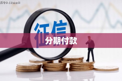左镇分期付款