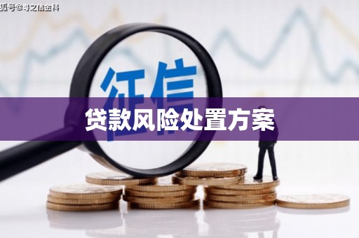 靖州贷款风险处置方案