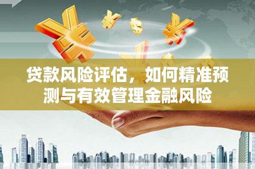 盐津贷款风险评估，如何精准预测与有效管理金融风险