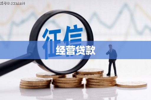 永善经营贷款