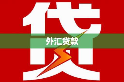 娄烦外汇贷款