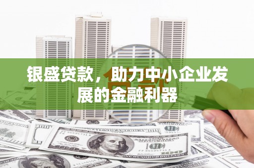 宾阳银盛贷款，助力中小企业发展的金融利器