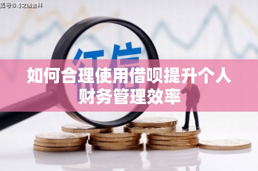 隆尧如何合理使用借呗提升个人财务管理效率