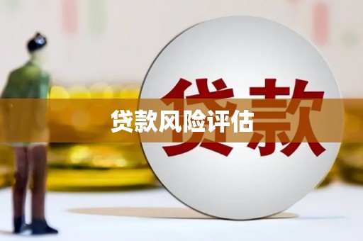 石台贷款风险评估