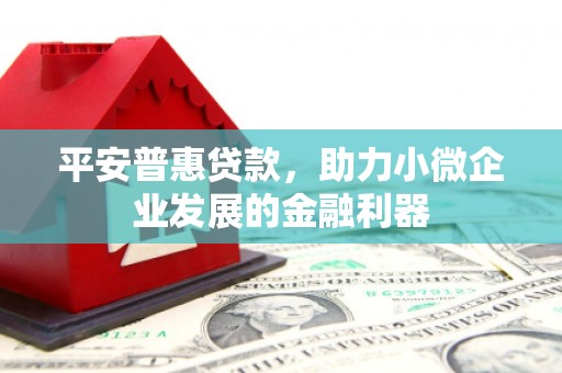芦淞平安普惠贷款，助力小微企业发展的金融利器