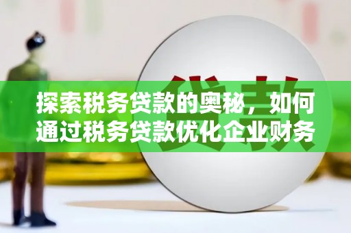 沈丘探索税务贷款的奥秘，如何通过税务贷款优化企业财务