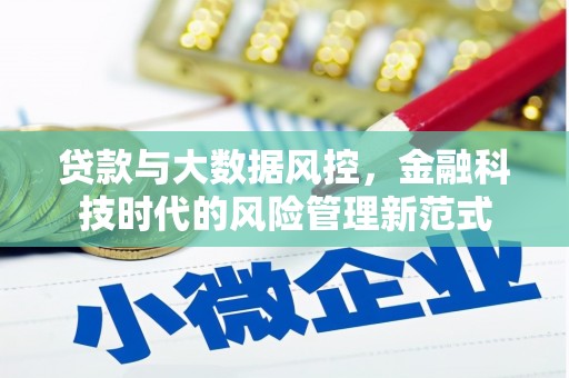 浦江贷款与大数据风控，金融科技时代的风险管理新范式