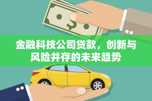 芦淞金融科技公司贷款，创新与风险并存的未来趋势