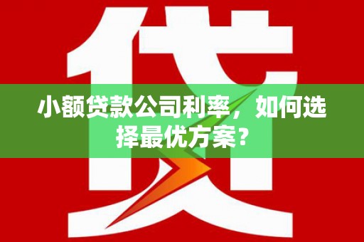 盐池小额贷款公司利率，如何选择最优方案？