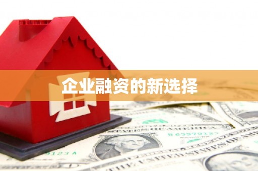 保税区企业融资的新选择