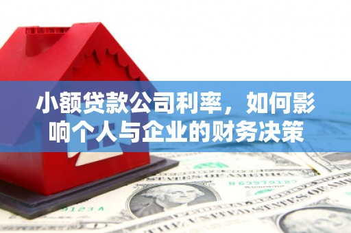 镇巴小额贷款公司利率，如何影响个人与企业的财务决策