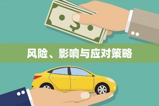 上林风险、影响与应对策略